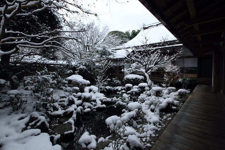 雪の宝泉院_e0051888_2075640.jpg