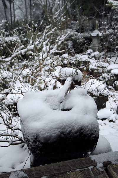 雪の宝泉院_e0051888_207972.jpg