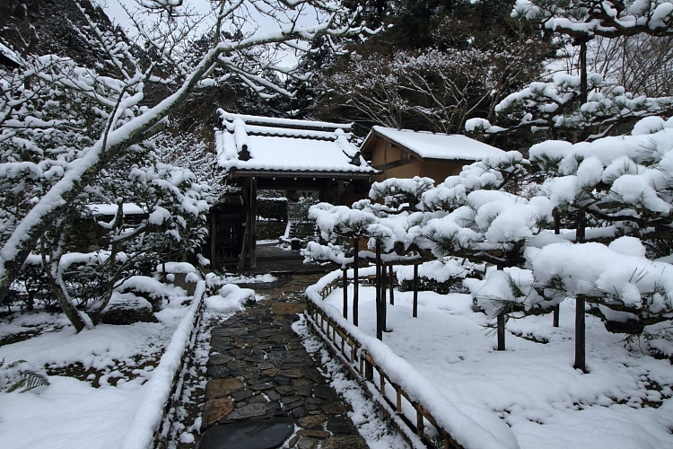 雪の宝泉院_e0051888_2082692.jpg
