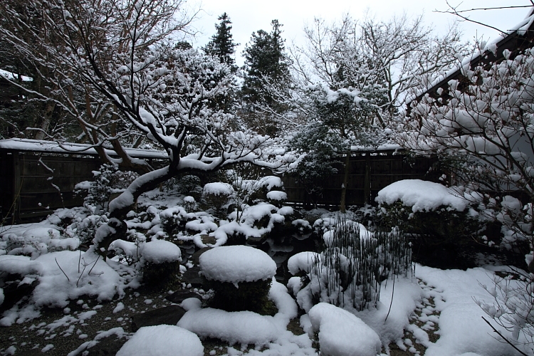 雪の宝泉院_e0051888_208615.jpg