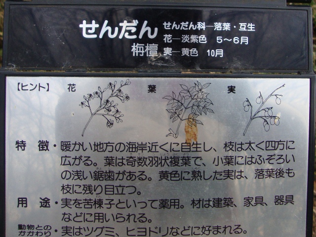 頑張ったの、私。_a0126590_111668.jpg