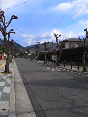 新しい年の始まり!!_c0207890_022290.jpg