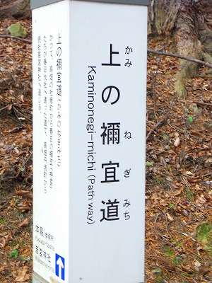 新しい年の始まり!!_c0207890_0262966.jpg
