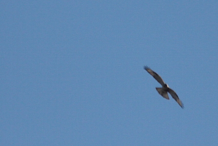 d0133693_18595765.jpg
