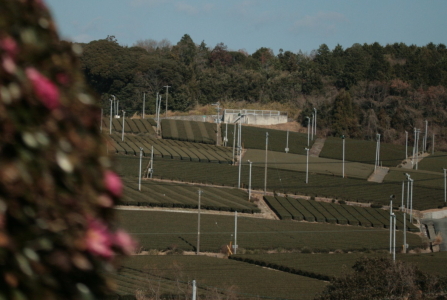d0133693_190261.jpg