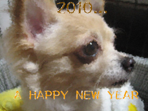 A HAPPY  NEW  YEAR_e0150494_14254486.jpg