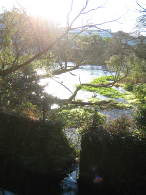 b0007895_10424359.jpg