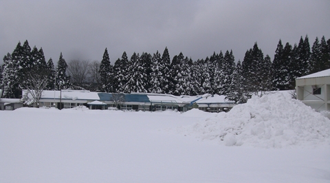 a0138198_14353463.jpg