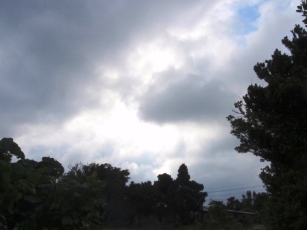 今日の鳩間島　1/5（火）　雨時々曇り　欠航1日目_b0165698_2111396.jpg