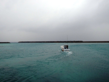 今日の鳩間島　1/5（火）　雨時々曇り　欠航1日目_b0165698_2185985.jpg