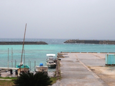 今日の鳩間島　1/5（火）　雨時々曇り　欠航1日目_b0165698_2193877.jpg