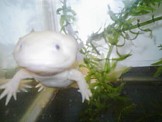 e0063902_2122336.jpg