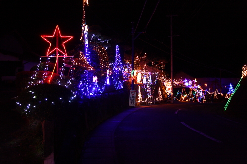 c0223003_03369.jpg