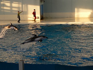f0006509_10272154.jpg