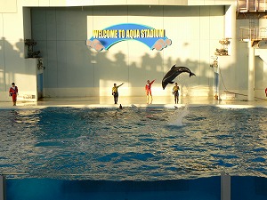 f0006509_10273639.jpg