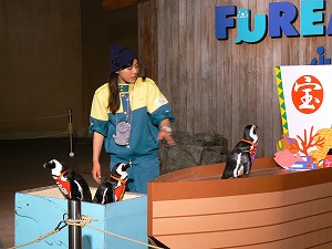f0006509_10443112.jpg