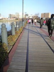 f0006509_1536740.jpg