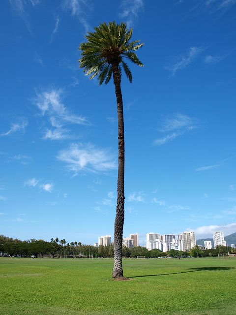 a0126310_21355999.jpg