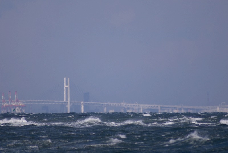 e0132310_841231.jpg