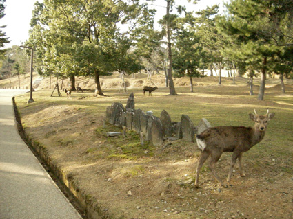d0051613_20565745.jpg