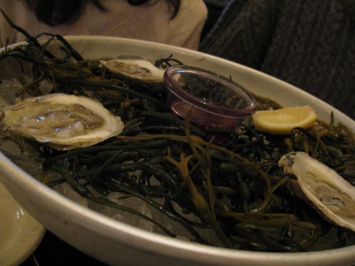 謹賀新年_e0101819_4444655.jpg