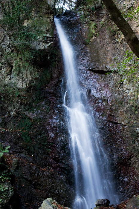 c0153223_1629412.jpg