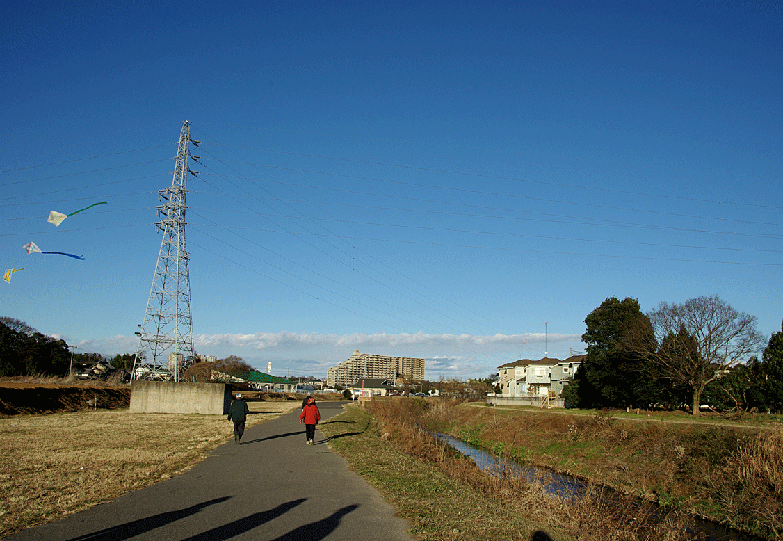 c0223825_0373578.gif