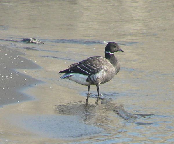 c0104227_111175.jpg