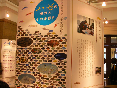e0089232_193898.jpg