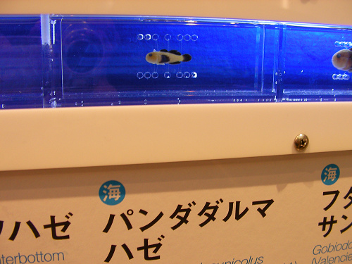 e0089232_195152.jpg