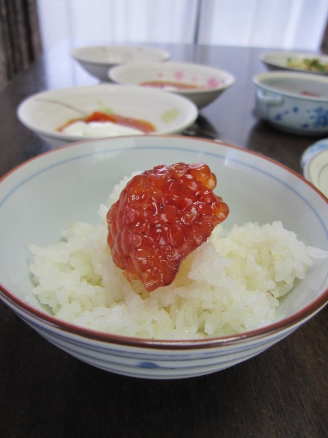 筋子 すじこ ごはん あきらや料理録 筋子 すじこ ごはん あきらや料理録