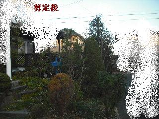 f0031037_2091251.jpg