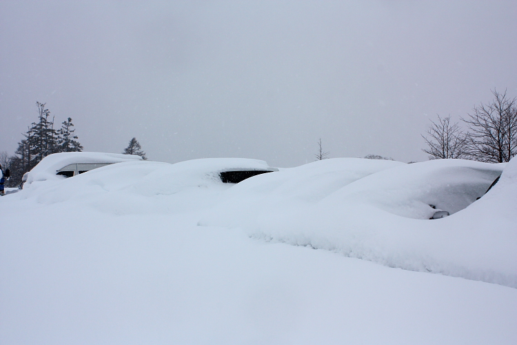 雪やこんこん 1月6日_f0113639_12485118.jpg