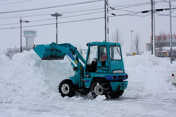 雪やこんこん 1月6日_f0113639_12495816.jpg
