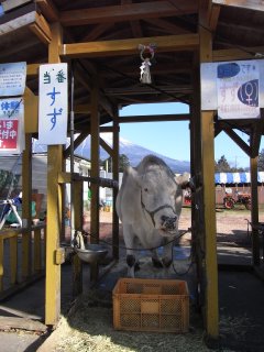 食！＠山梨・静岡～麺ロードの旅～_b0154940_1053837.jpg