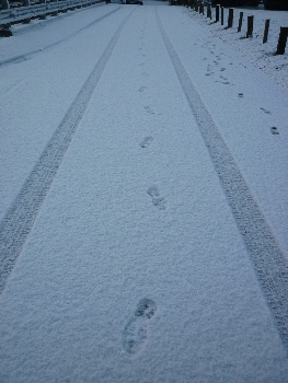 雪の朝のランニング　その2_f0199449_442530.jpg