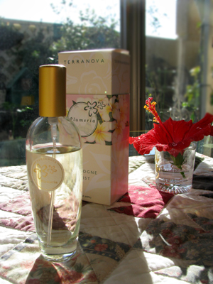 d0084750_1446159.jpg