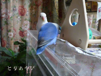 みんなのパパ_e0147757_19261313.jpg