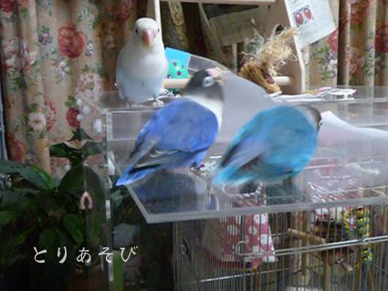 みんなのパパ_e0147757_1927757.jpg