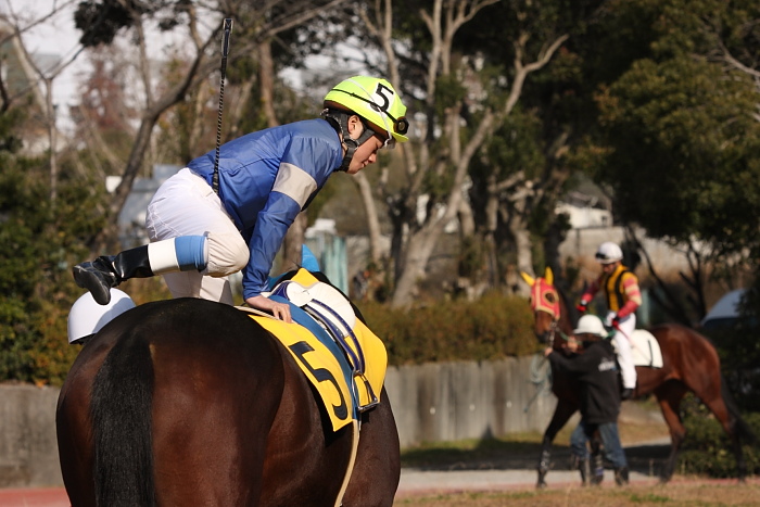 2010年1月2日(土) 高知競馬 1R D6_a0077663_6532546.jpg