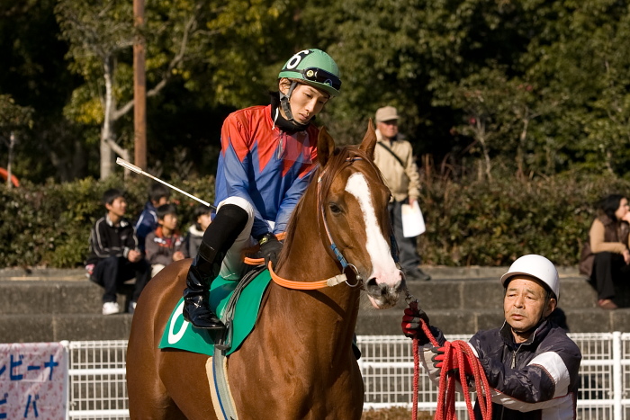 2010年1月2日(土) 高知競馬 1R D6_a0077663_6533834.jpg