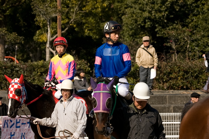 2010年1月2日(土) 高知競馬 1R D6_a0077663_6535571.jpg