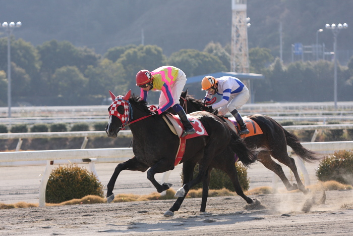 2010年1月2日(土) 高知競馬 1R D6_a0077663_6542952.jpg