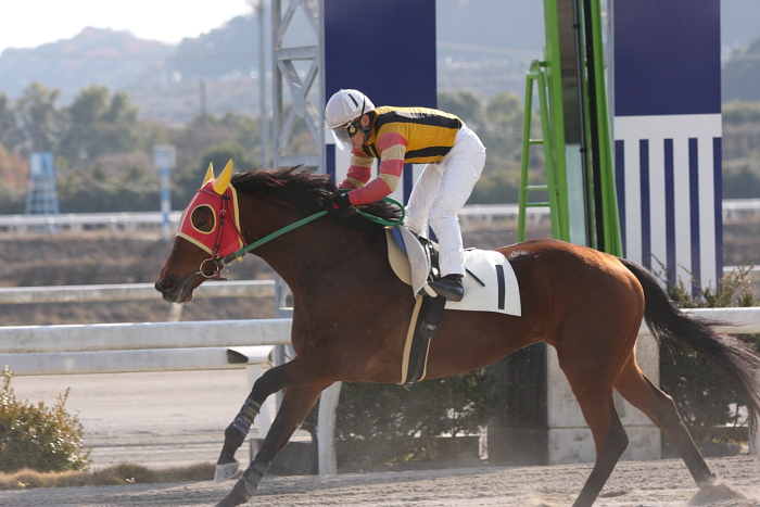 2010年1月2日(土) 高知競馬 1R D6_a0077663_6561679.jpg