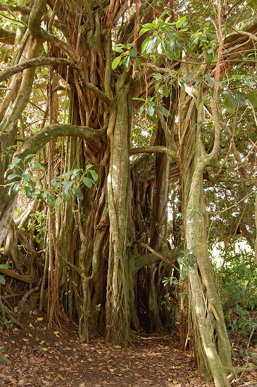 e0128367_14261970.jpg