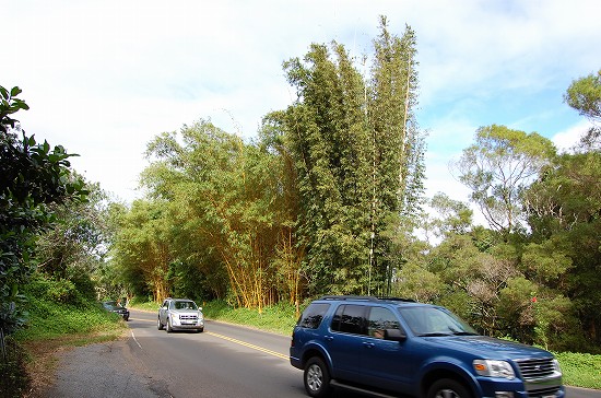 e0128367_14264627.jpg
