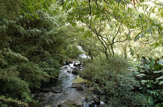e0128367_14274072.jpg