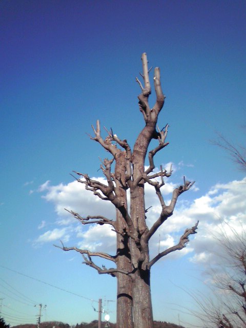 f0016783_044194.jpg