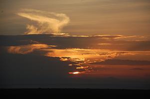 f0000593_221573.jpg