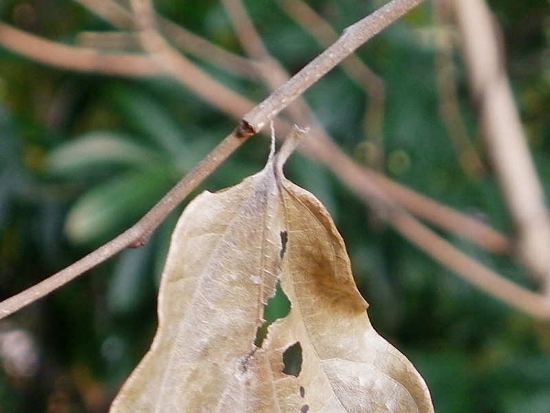 f0204094_221463.jpg